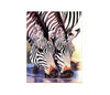 Diamond Painting Verliefde Zebras 2-Diamond Painter