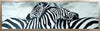 Diamond Painting Verliefde Zebras-Diamond Painter