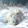 Diamond Painting IJsberen in de sneeuw (Morgen In Huis)