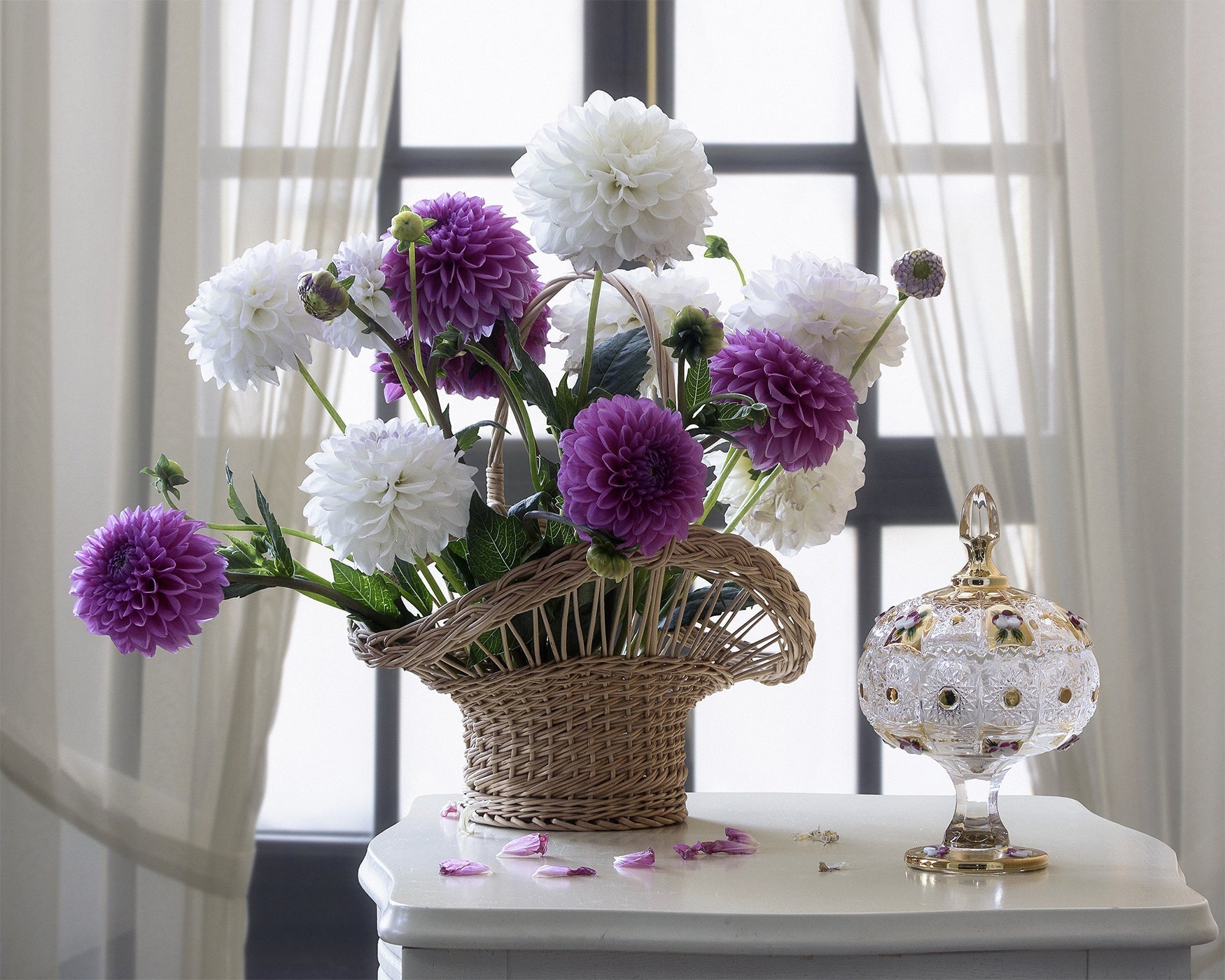 Diamond Painting Prachtige Dahlias (Morgen In Huis)