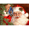 Diamond Painting De Kerstman 1-Diamond Painter