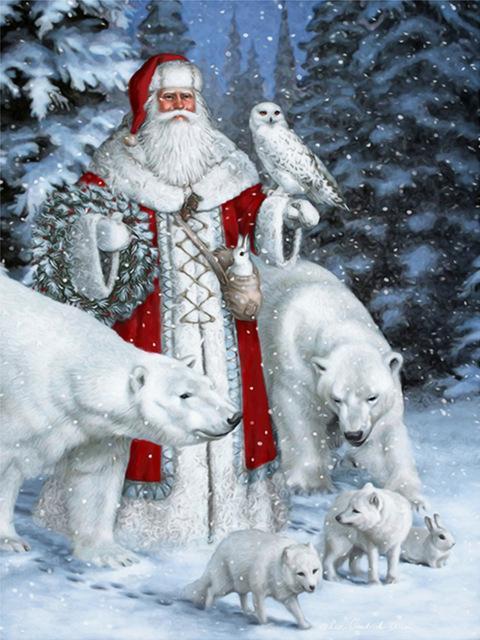 Diamond Painting De Kerstman 10-Diamond Painter