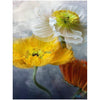 Diamond Painting full Bloemen 46-Diamond Painter