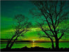 Diamond Painting groene horizon-Diamond Painter