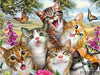 Diamond Painting Groep Katten-Diamond Painter