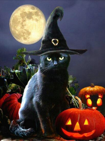 Diamond Painting Halloween Zwarte Kat Met Zwarte Punt Hoed-Diamond Painter