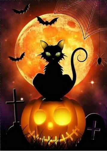 Diamond Painting Halloween Zwarte Kat Op Pompoen-Diamond Painter