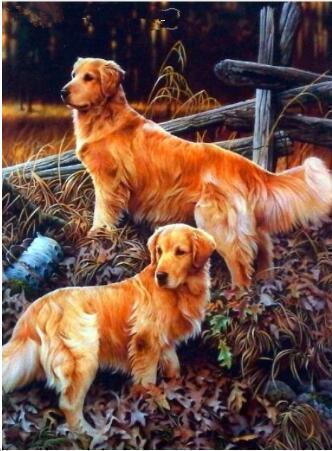 Diamond Painting Honden 15-Diamond Painter