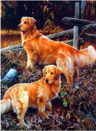 Diamond Painting Honden 15-Diamond Painter