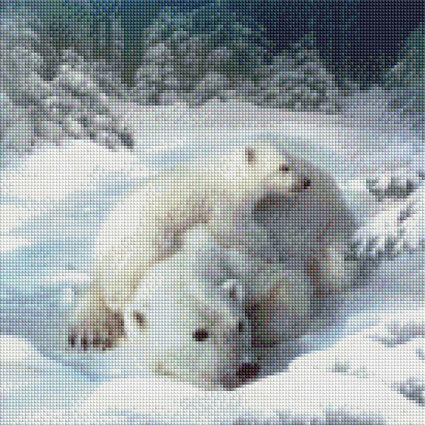 Diamond Painting IJsberen in de sneeuw eindresultaat Hobby Painter