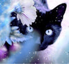 Diamond Painting katten 8-Diamond Painter