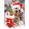 Diamond Painting Kerst Hond / Part-Diamond Painter