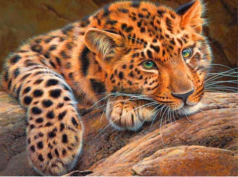 Diamond Painting Luipaard 14-Diamond Painter