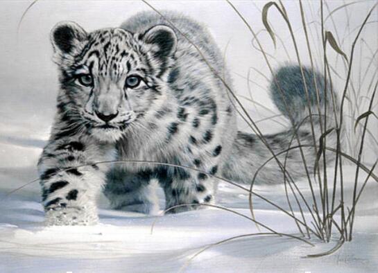 Diamond Painting Luipaard 9-Diamond Painter