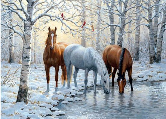 Diamond Painting Paarden 1-Diamond Painter