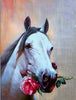 Diamond Painting Paarden 13-Diamond Painter