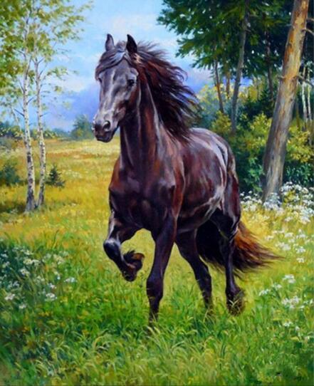 Diamond Painting Paarden 2-Diamond Painter