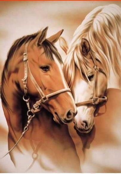 Diamond Painting Paarden 21-Diamond Painter