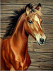 Afbeelding laden in Galerijviewer, Diamond Painting Paarden 5-Diamond Painter