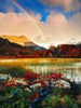 Diamond Painting regenboog in de natuur-Diamond Painter