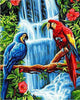Afbeelding laden in Galerijviewer, Diamond Painting Vogels 10-Diamond Painter