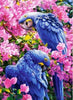 Diamond Painting Vogels 9-Diamond Painter