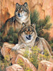 Diamond Painting Wolven 2-Diamond Painter